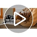 Heat Sensitive Cat Mug - 12oz Coffee Cup for Cat Lovers, Gifts for Women & Men