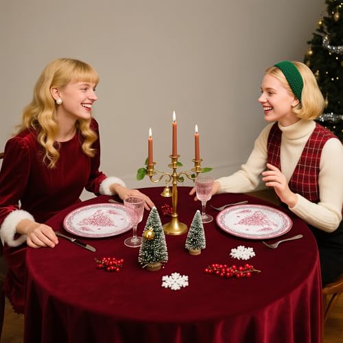 Christmas Paper Plates 25 Pack - 9 Inch Red Sketch Christmas Tree Disposable Dinnerware for Holiday Party