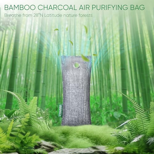 Innmily Activated Charcoal Odor Absorber Bags - 6 Pack Shoe Deodorizer
