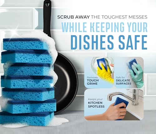RSLIFE Dual-Sided Blue Scrub Sponges - Pack of 6 for Kitchen & Bath