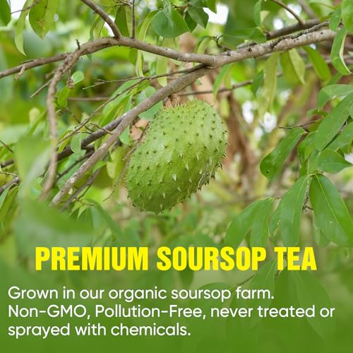 TEAWOO Soursop Tea Bags - 60 Packs, 100% Natural Herbal Tea