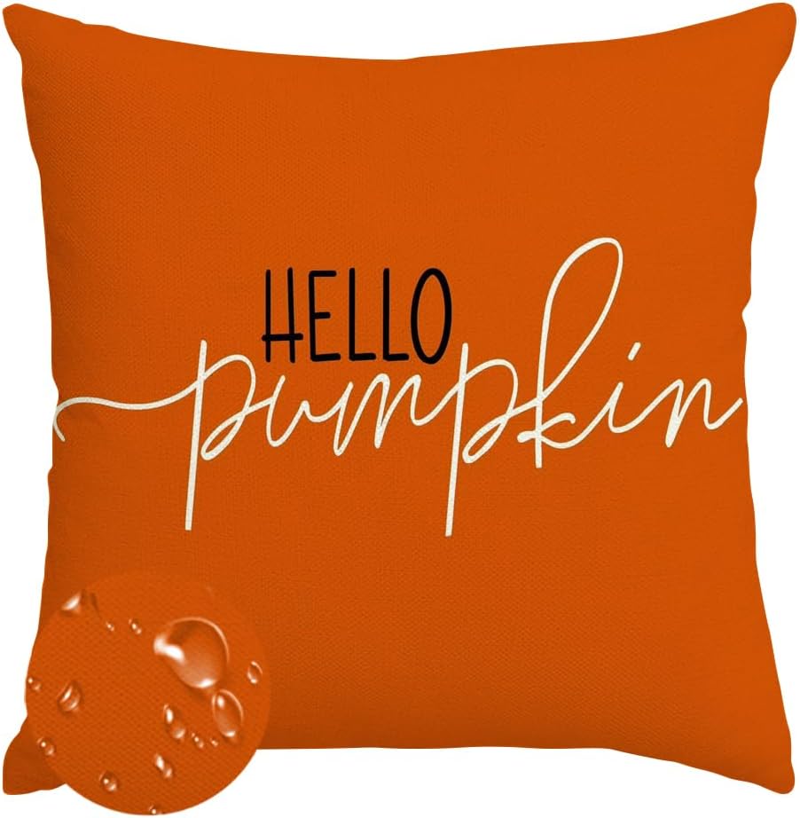 RABUSOFA Fall Pillow Covers - 18x18 Inch Outdoor Waterproof Rust Hello Pumpkin Design | Thanksgiving Decor