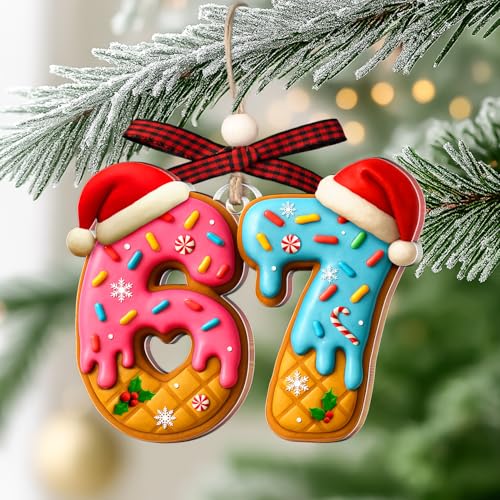 67 Christmas Ornament - Funny Acrylic Meme Decor for Kids and Teens