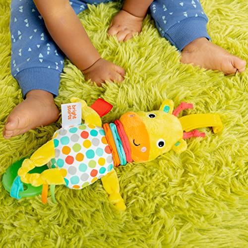 Bright Starts Giraffe Pull, Play & Boogie Musical Activity Toy - 1 Count