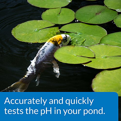 API Pond Wide Range pH Test Kit - 160-Test Liquid Water Monitoring