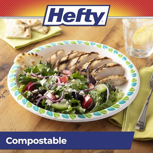 Hefty 10 Inch Compostable Paper Plates Pack of 3 - 20 Count Stylish & Soak-Resistant Disposable Dinnerware