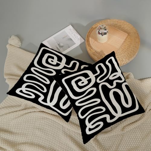 CXMEIFLY Black & White Abstract Pillow Covers, 18x18 Inch Set of 2 - Boho Geometric Decor for Couch & Bed