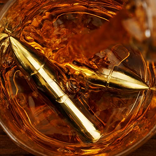 Whiskey Bullets / Whiskey Bullets Reusable Stainless Steel & Glass Set – Gift for Men Dad Husband