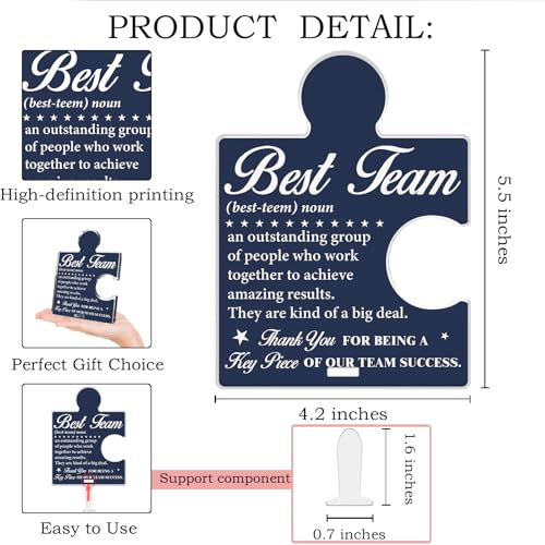 Team Appreciation Acrylic Puzzle Sign - Office Desk Decor - Variation T