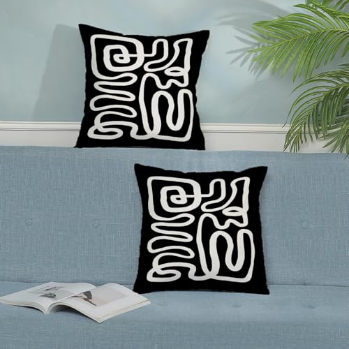 CXMEIFLY Black & White Abstract Pillow Covers, 18x18 Inch Set of 2 - Boho Geometric Decor for Couch & Bed