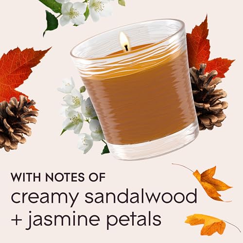 Glade Cashmere Woods Scented Candle Jar, 4.08 Oz, 2 Count