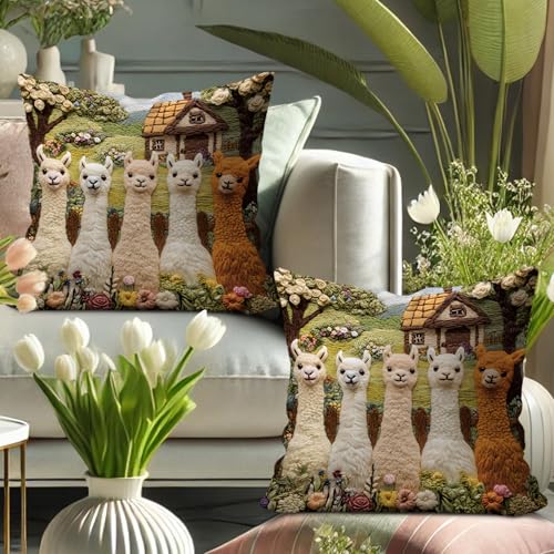 Llama Decorative Velvet Throw Pillow Covers, 20x20 Inch Set of 2