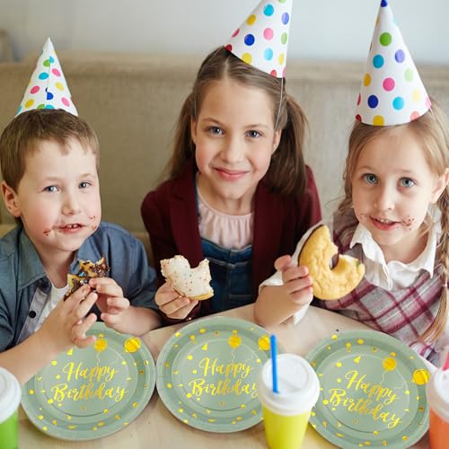 Sage Green and Gold Birthday Party Tableware Set - 72PCS
