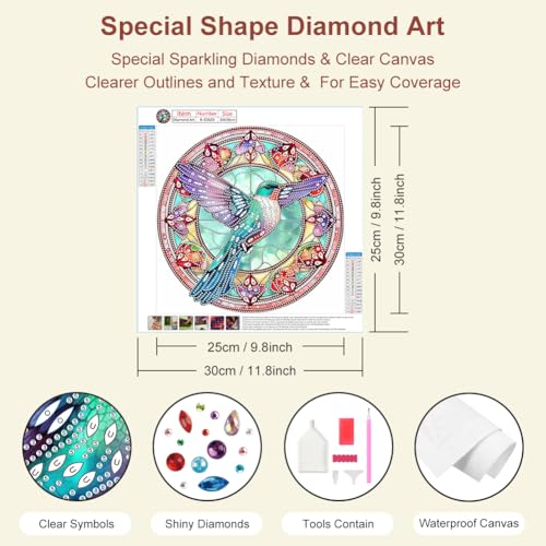 Hummingbird Diamond Art Kit - 5D Special Shape Painting for Adults