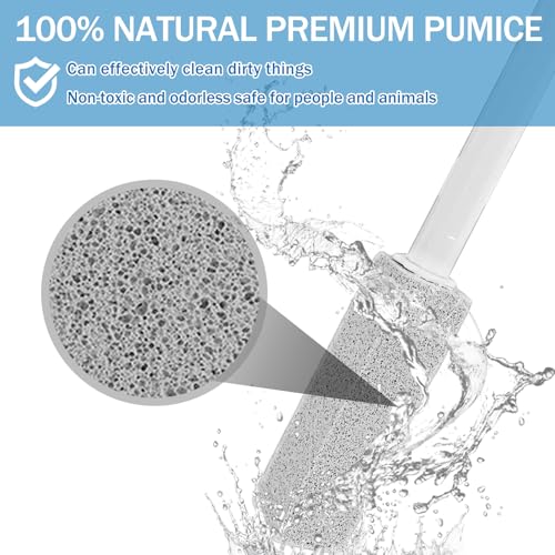 Ocean Scent Pumice Stone Toilet Bowl Cleaner with Long Handle