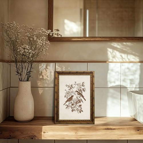 Vintage Botanical Bird Wall Art Canvas with Gold Frame 9x12 Inch