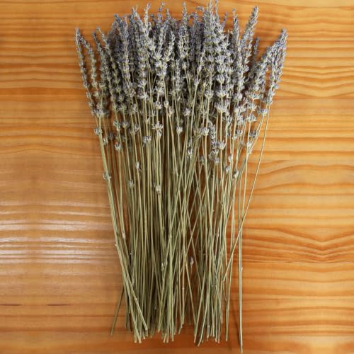 100+ Natural Dried Lavender Flowers Bundle for Home Decor