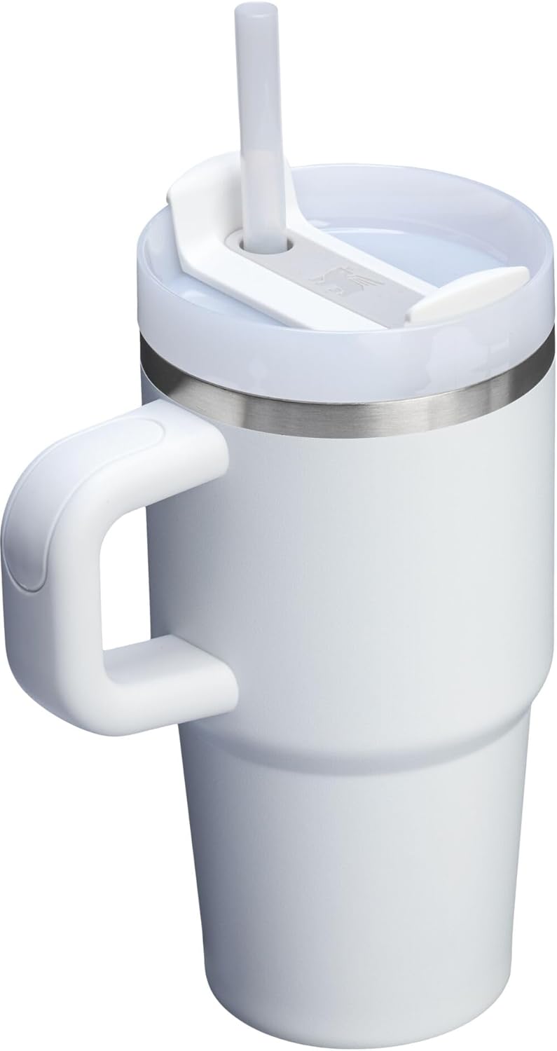 STANLEY Quencher H2.0 Tumbler - 20 oz Insulated Stainless Steel with Handle & Straw | BPA-Free | Frost Color
