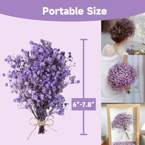 Dried Baby's Breath Bouquet - Pure Purple Gypsophila Flowers