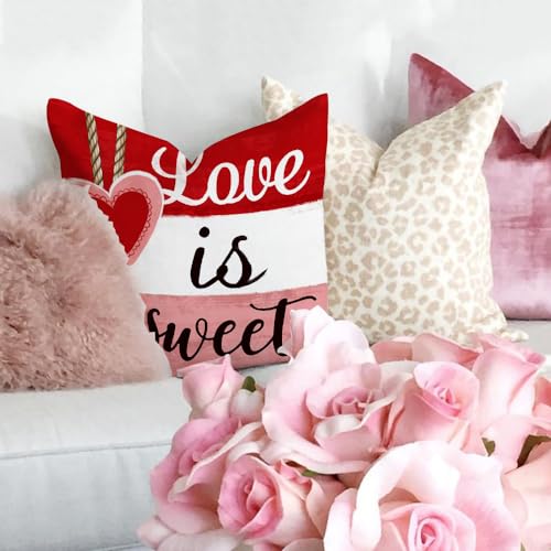 GEEORY Valentine's Day Throw Pillow Covers Set of 4 - 18x18 Inch Red Hearts