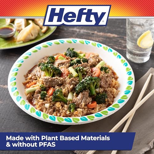 Hefty 10 Inch Compostable Paper Plates Pack of 3 - 20 Count Stylish & Soak-Resistant Disposable Dinnerware