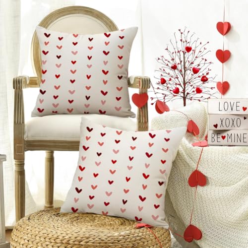 RABUSOFA Beige Valentine's Day Pillow Covers 18x18 Inch Set of 2