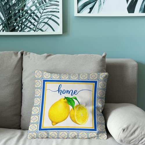 Italian Lemon Pillow Covers 18x18 Inch (Pack of 4) - Blue & Cyan