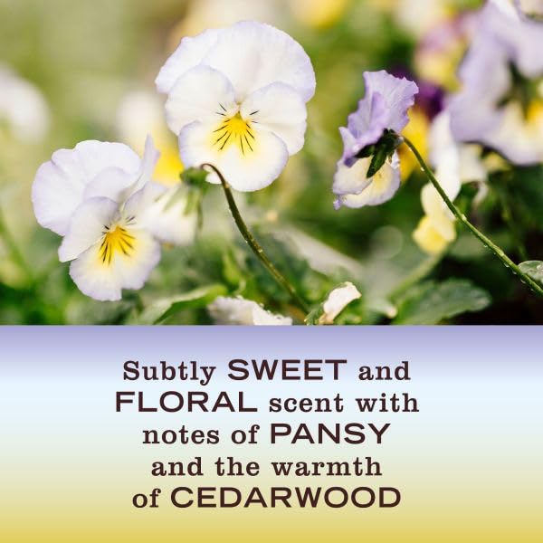Mrs. Meyer's Clean Day Room Freshener, Compassion Flower, 8 Oz (Pack of 6)