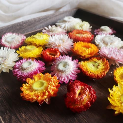 Asenfish 45-60pcs Natural Dried Flower Heads for Crafts & Decor