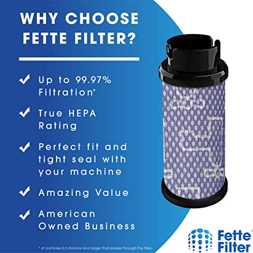 Fette Filter Pack of 2 Vacuum Cleaner Filters for Inse N5 S6 S6P S600