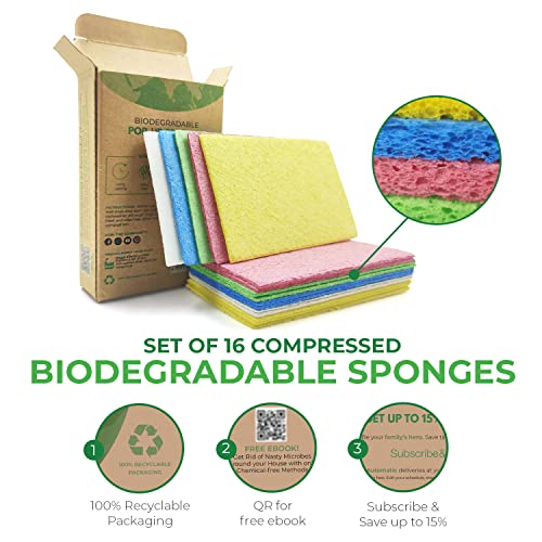 AIRNEX Compressed Cellulose Sponges - 16 Pack Natural Non-Scratch Dish Sponge