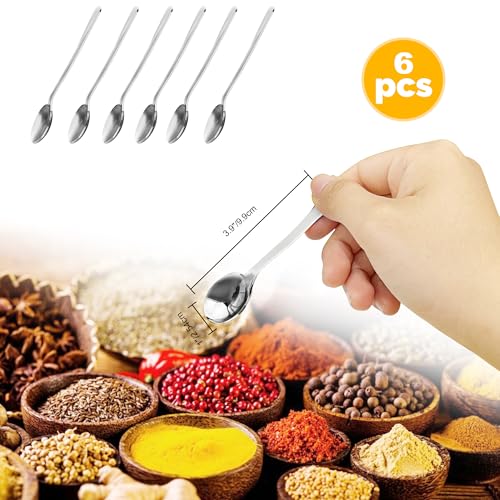 Mini Stainless Steel Spoons Set of 6 - 3.93" Tiny Spice Spoons