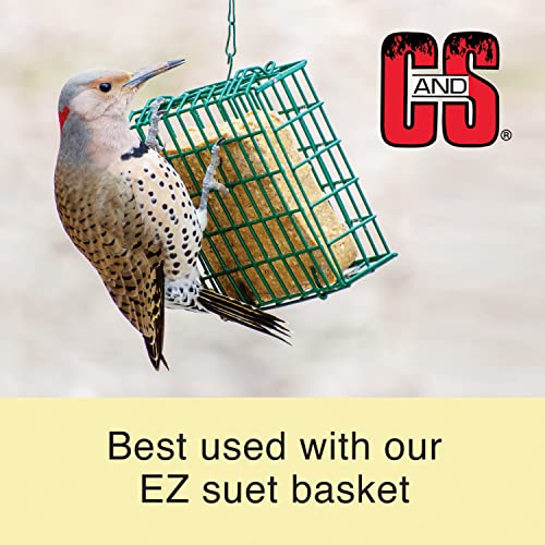 C&S Sunflower Wild Bird Suet Treat - Year-Round Feeding