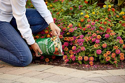 Scotts All Purpose Plant Food, Continuous Release Fertilizer, 3 lb (6-Pack)