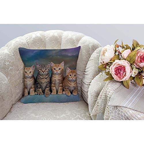 Cute Cat Pillowcase - 18x18 Inch Zippered Cushion Cover