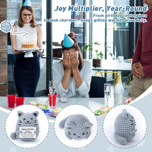 Hand-Crocheted Gray Cat Birthday Gift - Charming Decor