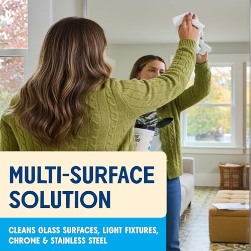 Aunt Fannie's Glass & Window Cleaning Wipes, 35 Count, Pack of 1