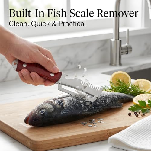 VELVASPIRA 3-in-1 Stainless Steel Vegetable Peeler Set