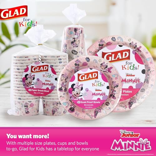Disney Minnie Mouse Disposable Paper Plates - 8.5 in, 40 Ct