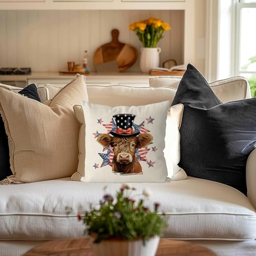 18x18 Inch American Patriotic Pillow Cover - 4th of July Throw Cushion