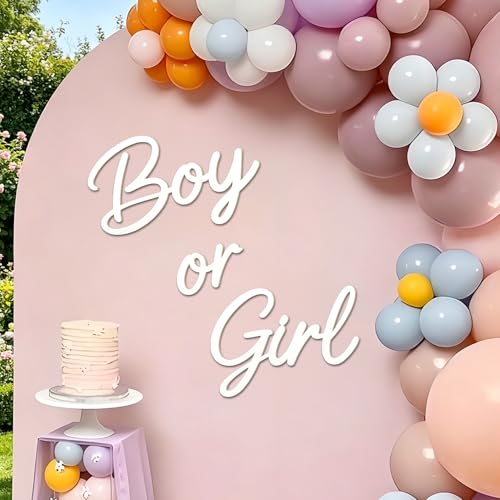 Premium Felt Boy or Girl Sign for Gender Reveal Party Decor