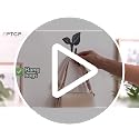 Leaf-Shaped Iron Wall Hooks - 4 Pack Decorative Coat Hooks