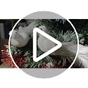 Christmas Bird Decorations Set – White Birds for Holiday Tree, Wreath & Wreaths, 2 pcs