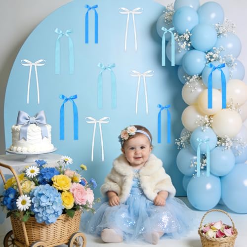 12 Pcs Satin Ribbon Bows Set for Birthday & Party Decor