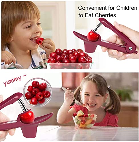 Cherry Pitter Tool - Effortless Cherry Corer with Lock Design