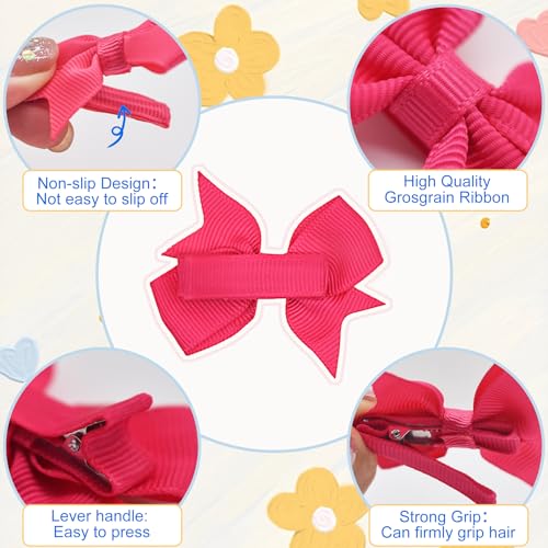 Hoewina 20PCS 2-Inch Baby Hair Bows and Alligator Clips for Toddlers