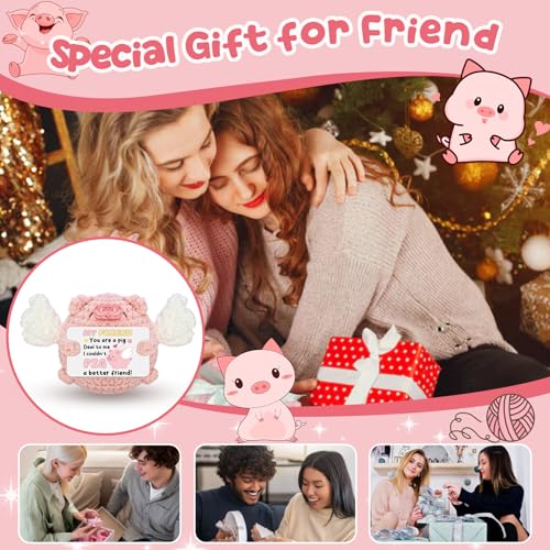 Handmade Crochet Pink Pig | Funny Friendship Gift for Women