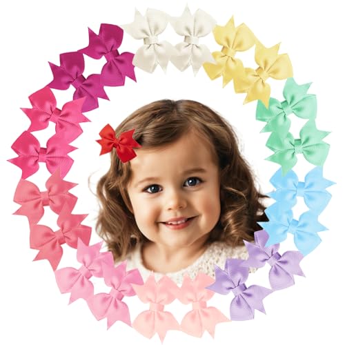 Hoewina 20PCS 2-Inch Baby Hair Bows and Alligator Clips for Toddlers