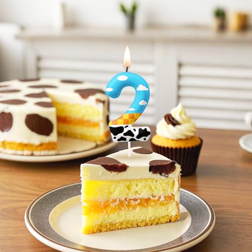 Number 0 Birthday Candle, Blue and White Cake Topper for Party Decorations
