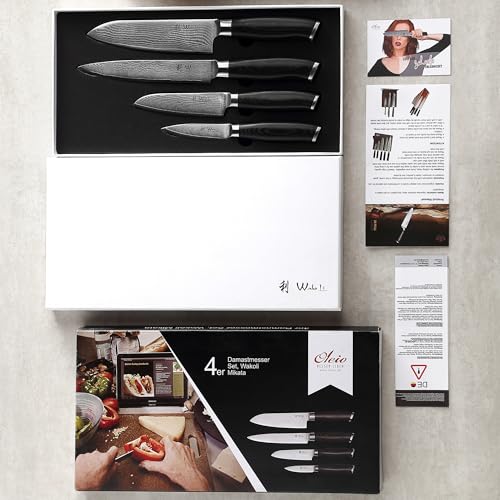 Damascus Kitchen Knife Set 4-Piece VG10 Steel Micarta Handles - MIK Variation